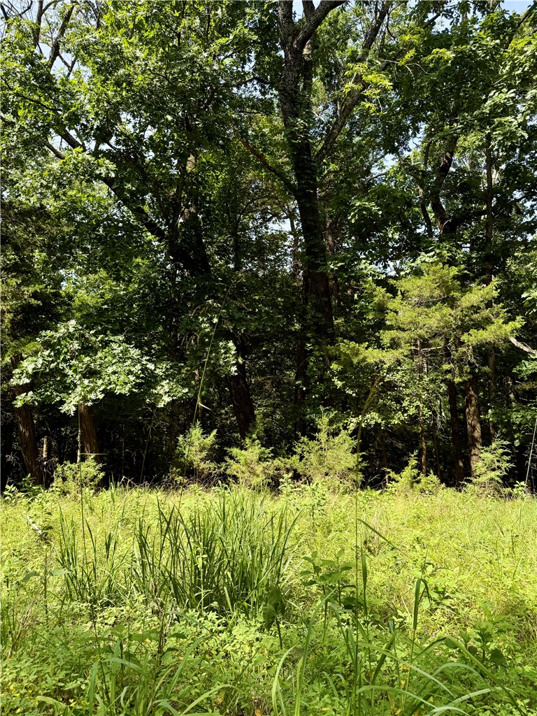 Create your lake area living dream in Lost Bridge Village! This wooded lot extends from Pine Dr. to Black Oak Dr., providing opportunities for creative design and use of space. Electric, water, and sewer are at the street. Join the quiet community of Lost Bridge Village and enjoy amenities such as an airstrip, pool, pickle ball courts, and more. Two boat ramps are within a few miles for access to Beaver Lake and Rogers is an easy 30 minute drive. Lot 39 and 40 are to be sold together, and this gives you additional space for privacy! Acreage based on county data, not a survey.