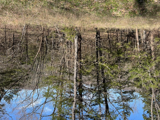 Nice third acre lot consisting of 0.361 acres of down sloping woods.  Very buildable lot with utilities at the road.  Close to amenities that include 2 golf courses, clubhouse, marina, fishing docks, recreation center, swimming pool, parks, walking paths and more.  Call for a tour today.
