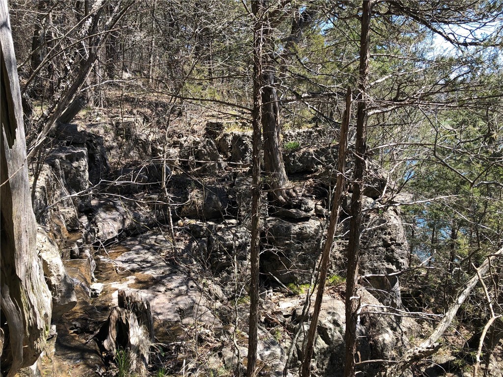 Oaks Landing On Table Rock Lake - Land