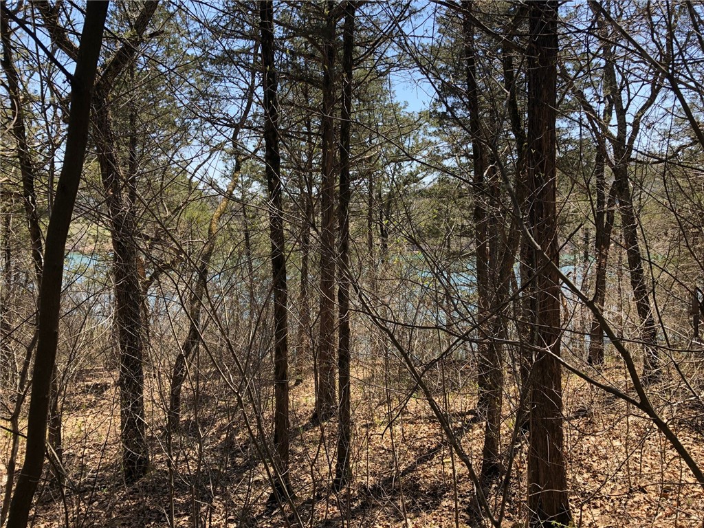 Oaks Landing On Table Rock Lake - Land