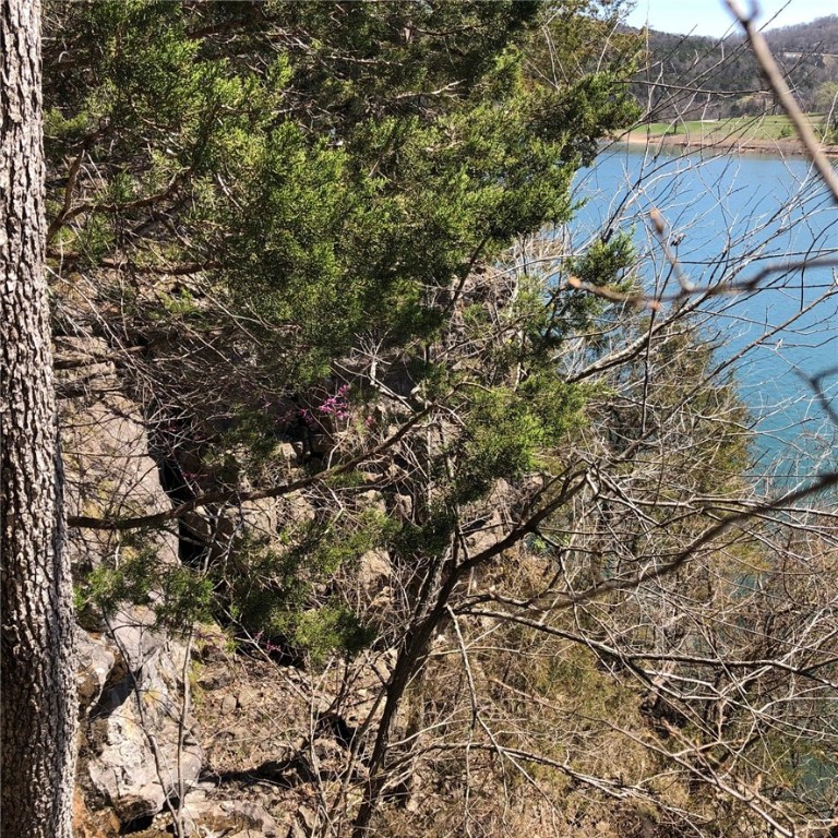 Oaks Landing On Table Rock Lake - Land