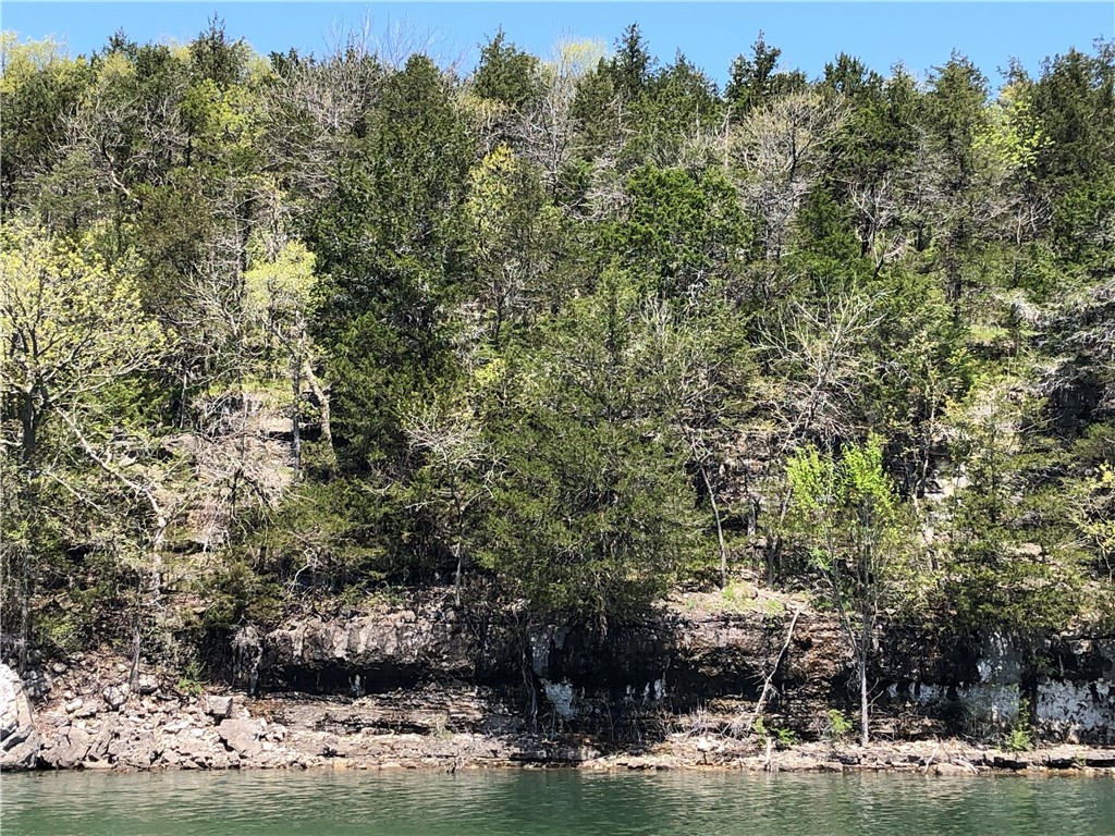 Oaks Landing On Table Rock Lake - Land