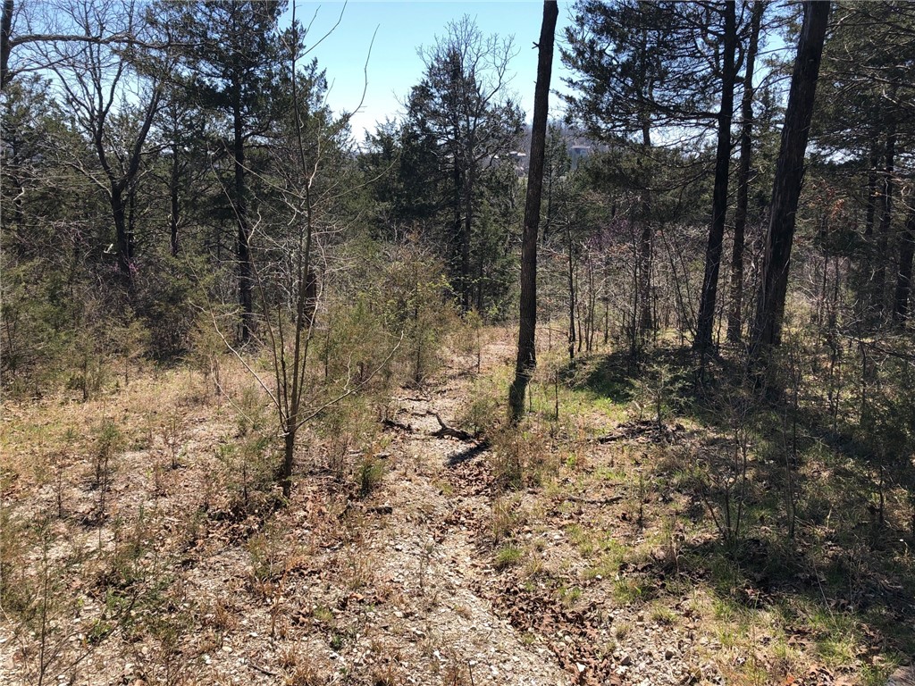 Oaks Landing On Table Rock Lake - Land