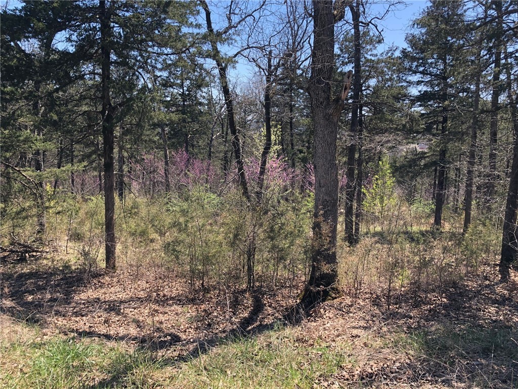 Oaks Landing On Table Rock Lake - Land