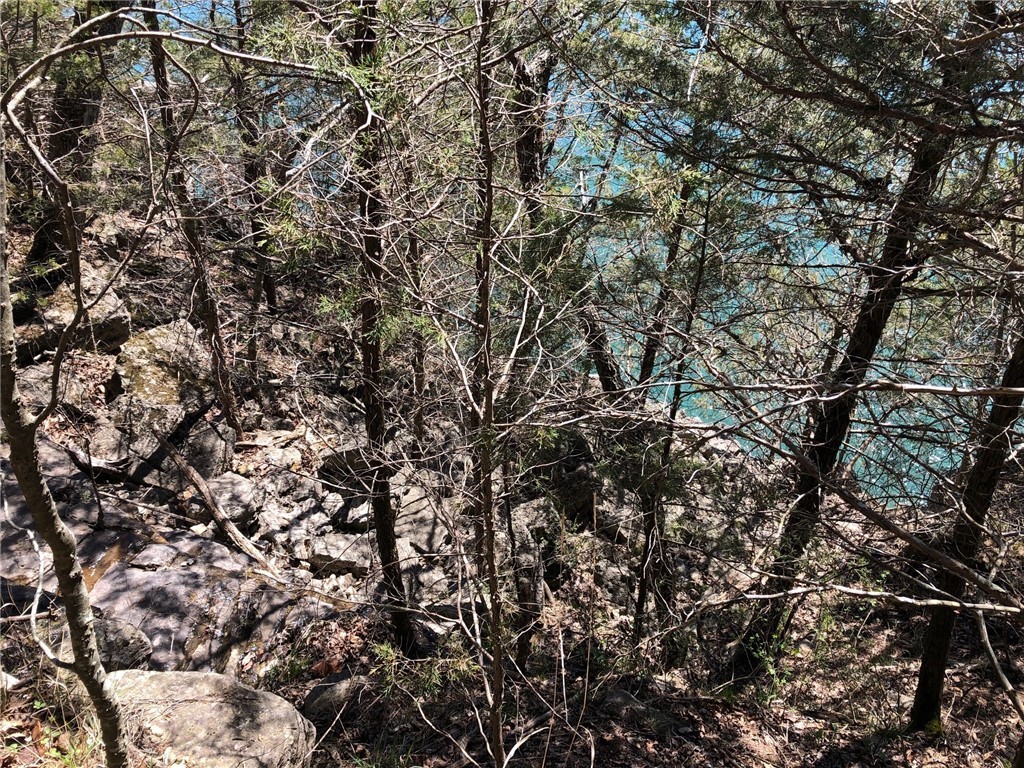 Oaks Landing On Table Rock Lake - Land