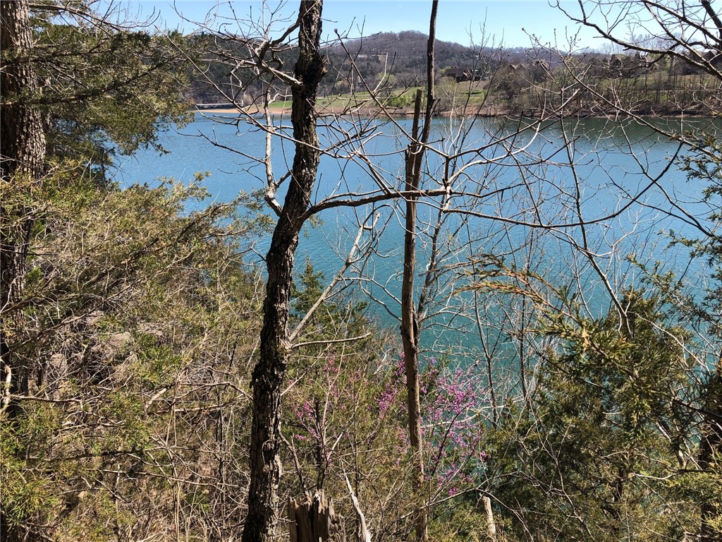 Oaks Landing On Table Rock Lake - Land