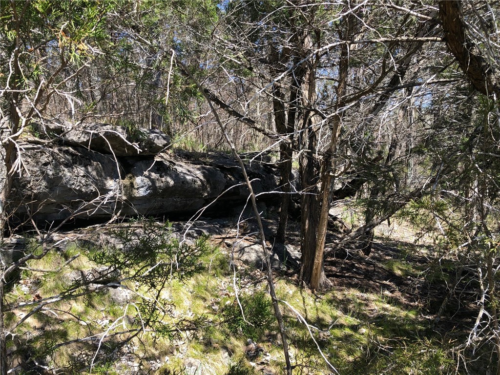 Oaks Landing On Table Rock Lake - Land