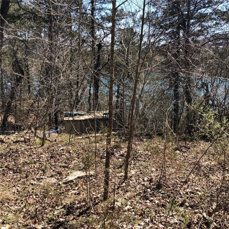 Oaks Landing On Table Rock Lake - Land