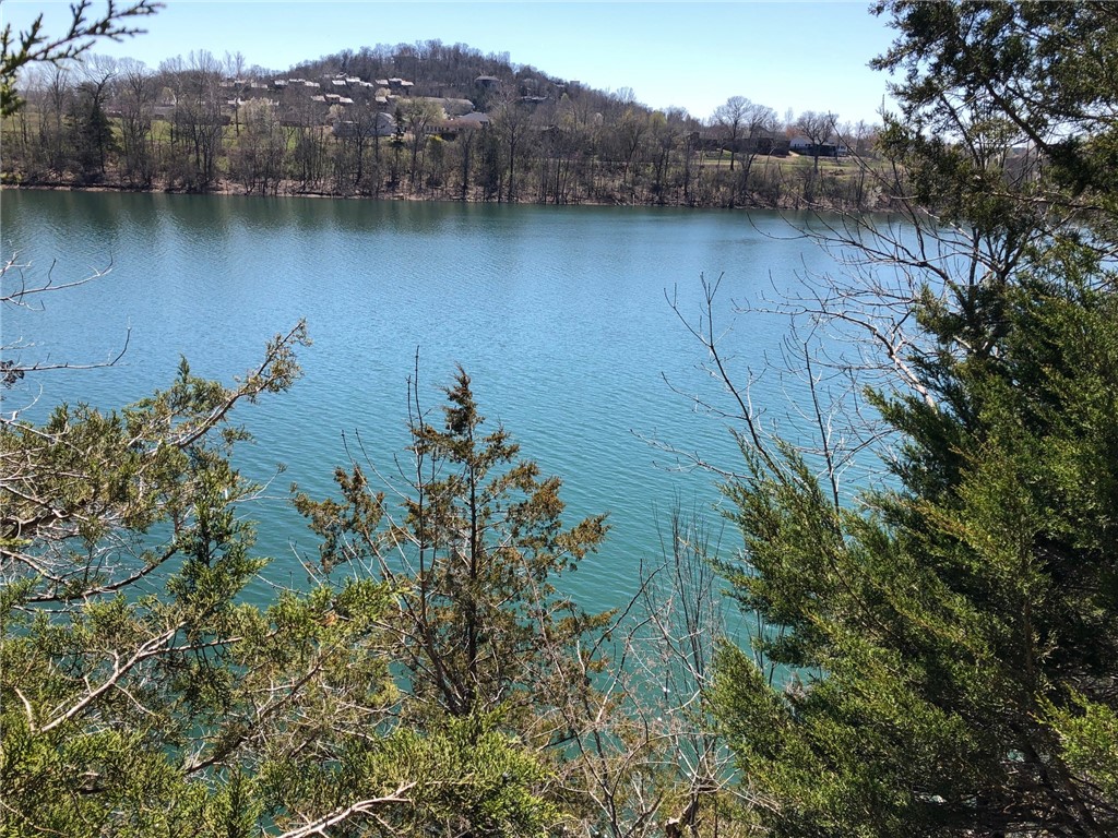 Oaks Landing On Table Rock Lake - Land