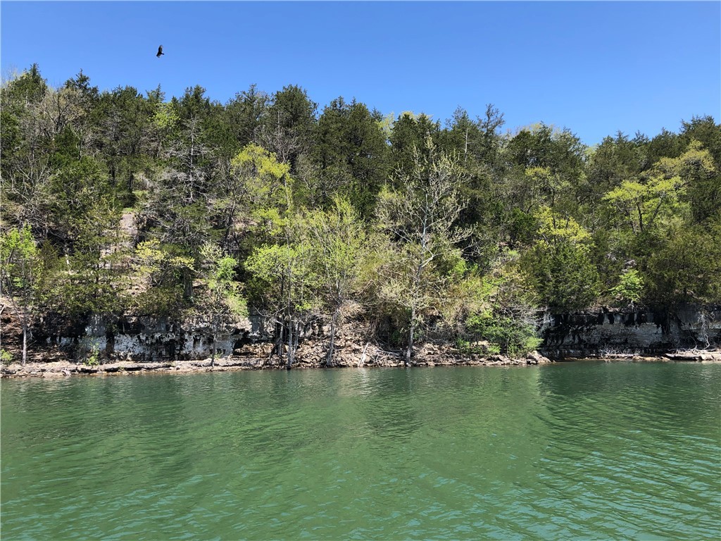 Oaks Landing On Table Rock Lake - Land