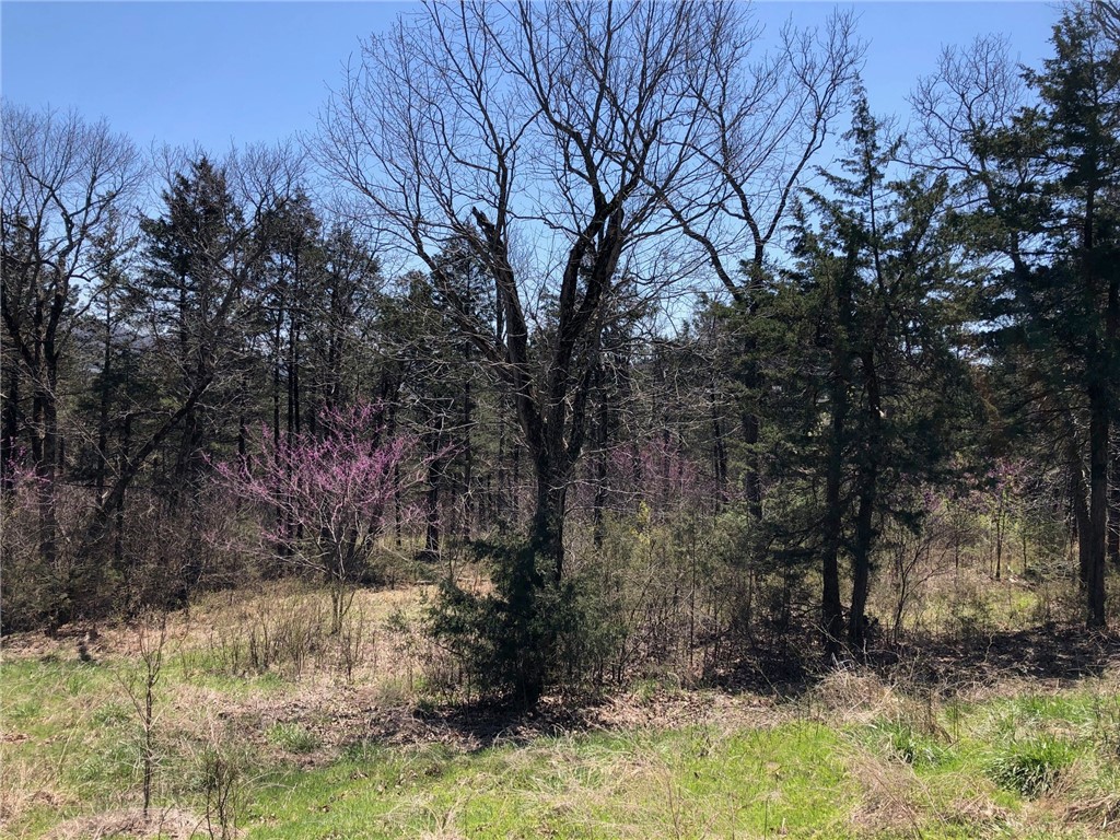 Oaks Landing On Table Rock Lake - Land