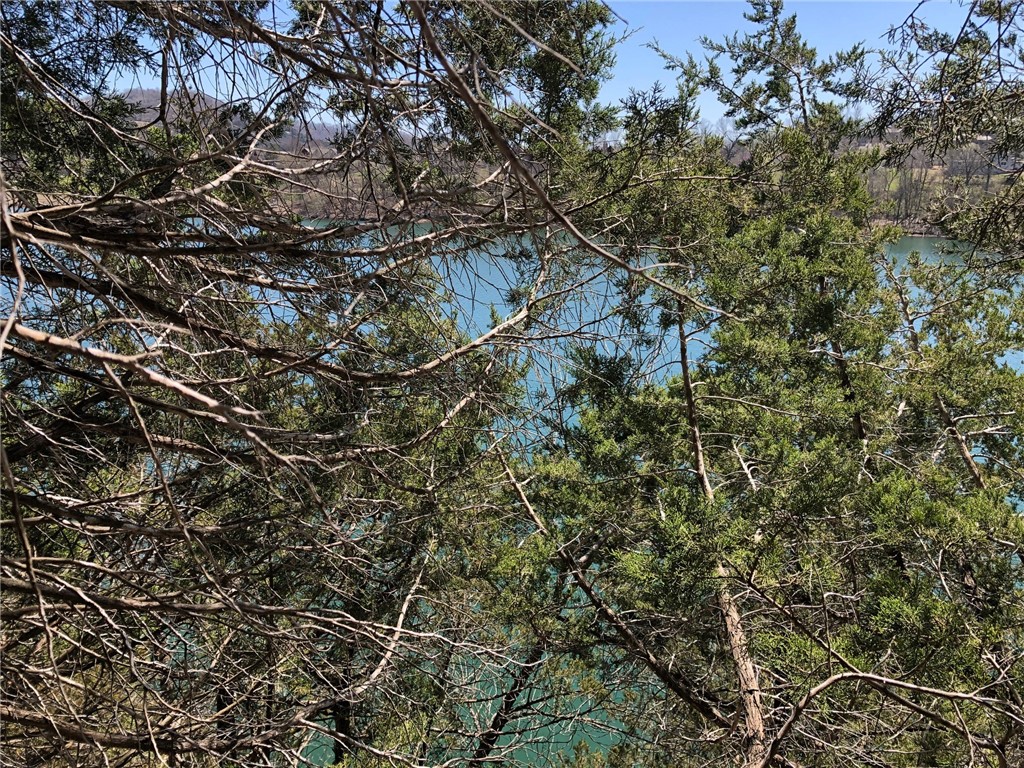 Oaks Landing On Table Rock Lake - Land
