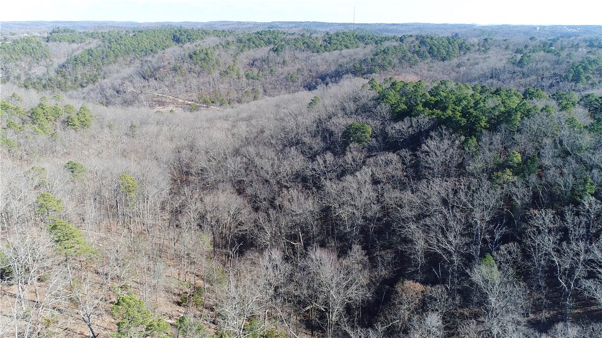 Mossy Oak - Land