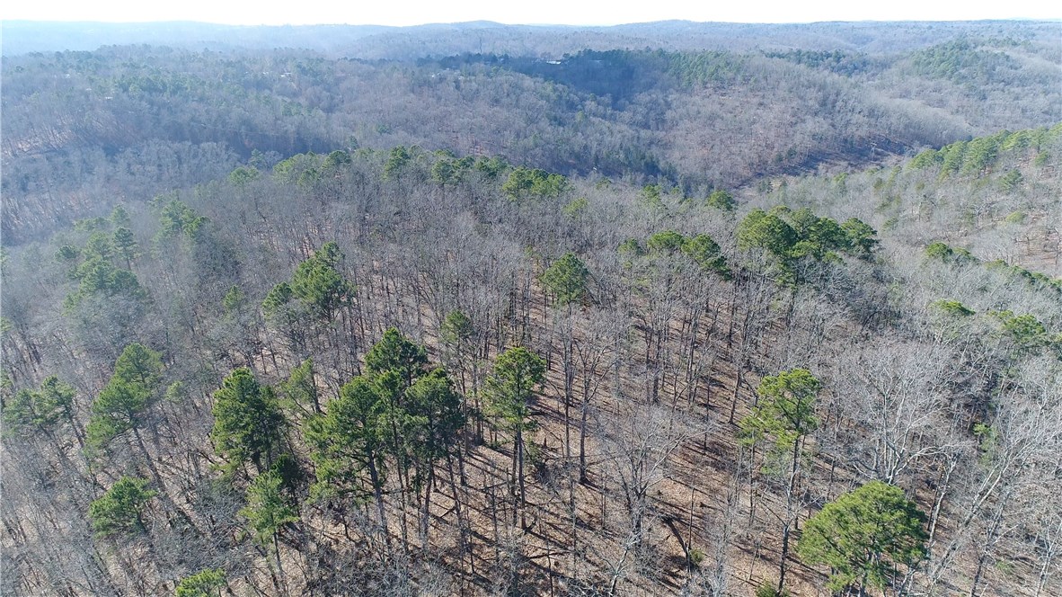 Mossy Oak - Land