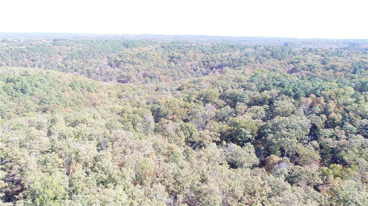 Mossy Oak - Land