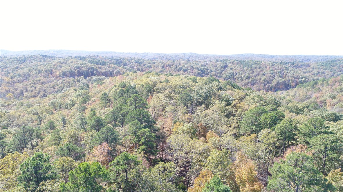 Mossy Oak - Land