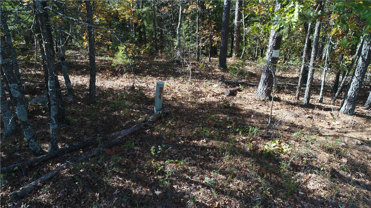 Mossy Oak - Land