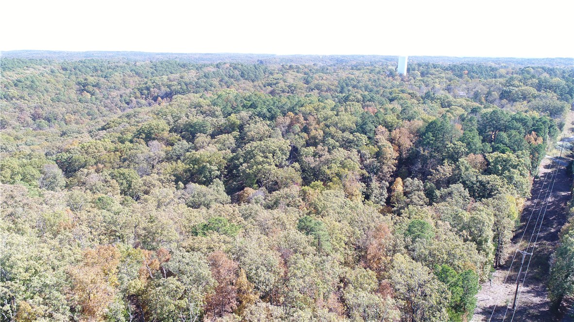 Mossy Oak - Land