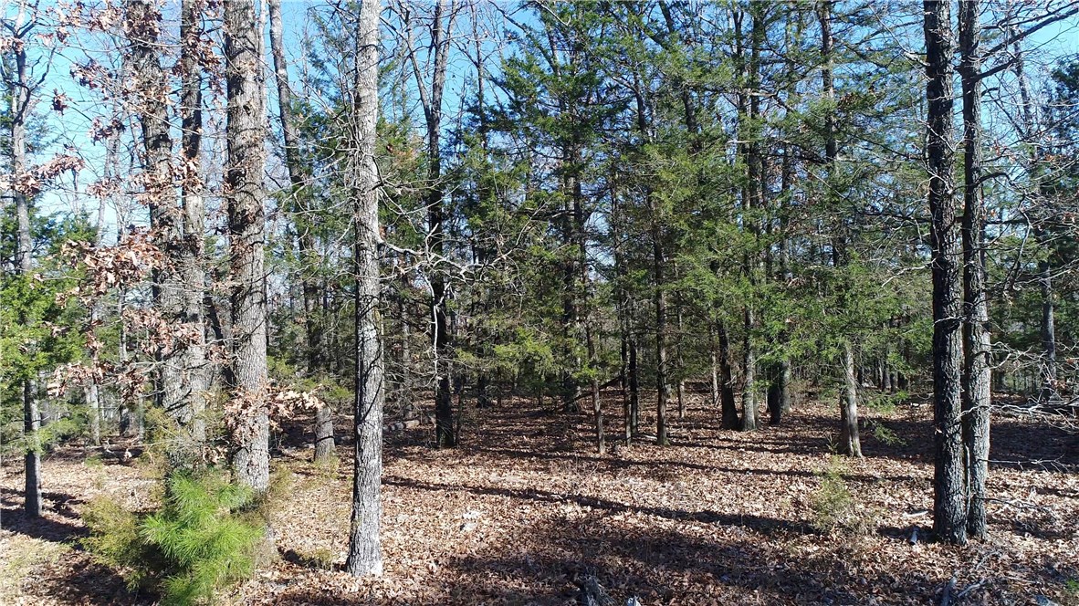 Mossy Oak - Land