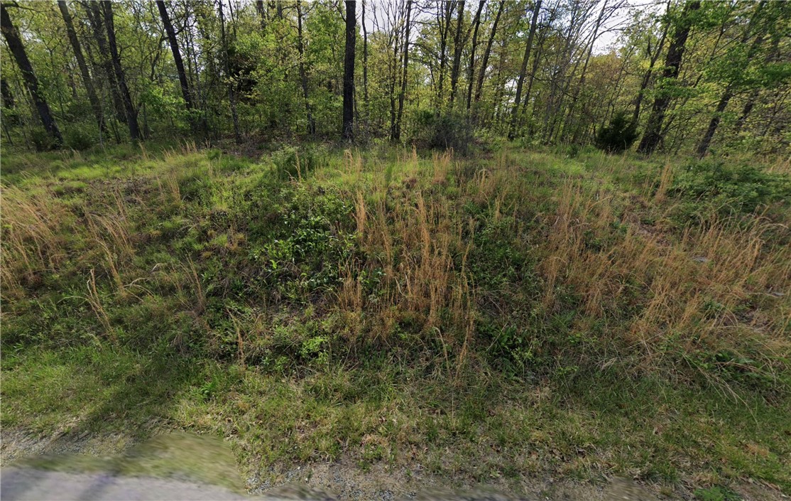 Buildable .37-acre lot near Lake Windsor! Great location with easy access to Bella Vista’s amenities, including lakes, parks, and trails. Ideal for your future home or investment property.