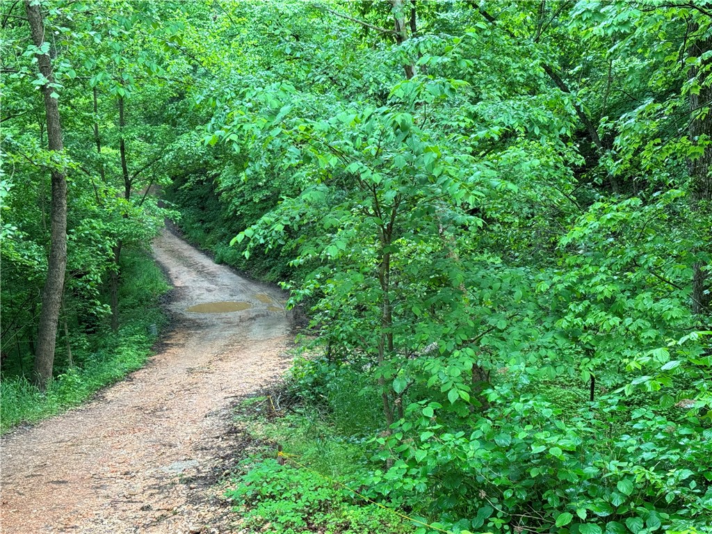 Beautiful setting on top of a hill, surrounded by trees and nature and privacy!! Easy access to Old Hwy 68 with easy access to Highway 412 - convenient to Siloam Springs and the NW AR corridor!  There is a mobile on the property with no value given by seller.  There are family members renting the mobile.  Seller is selling property AS IS -- they live out of state and will not be removing debris etc from property.  There are utilities at the property.  Home water source is connected to a Spring.  Drive to property is a little steep.  Additional 3 acre parcel also available.