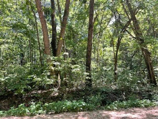 Posey Mountain Ranch Unit 7 - Land
