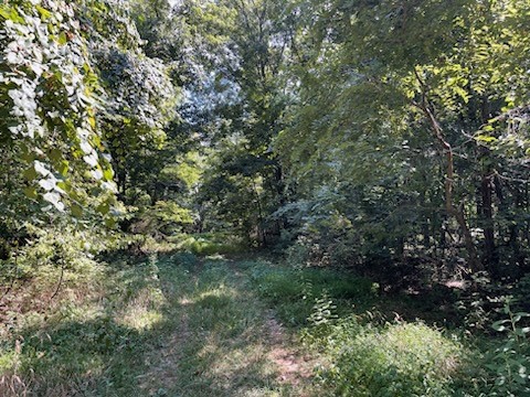 5 continuous lots, great for home sites. Call list agent for details.