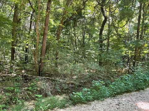 Posey Mountain Ranch Unit 7 - Land