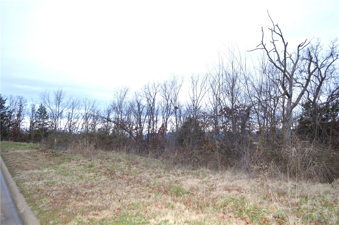 Deerpath Estates Ph II - Land