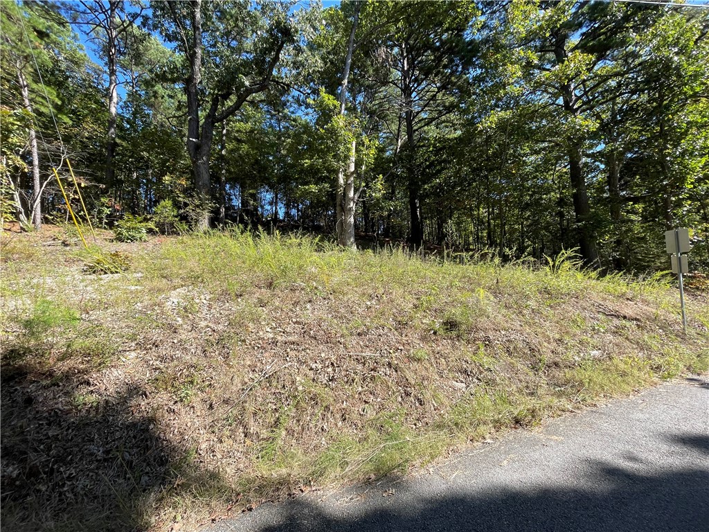 Pine Ridge Estates- Rurban - Land