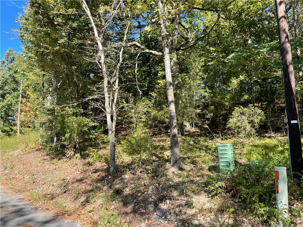 Pine Ridge Estates- Rurban - Land