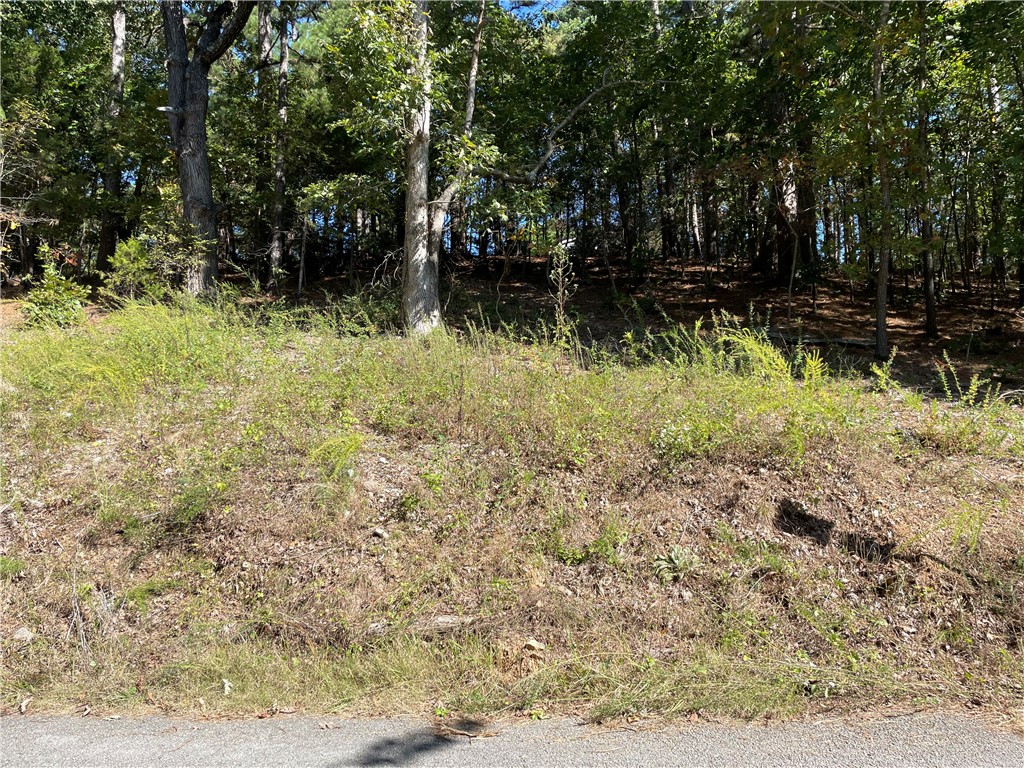 Pine Ridge Estates- Rurban - Land