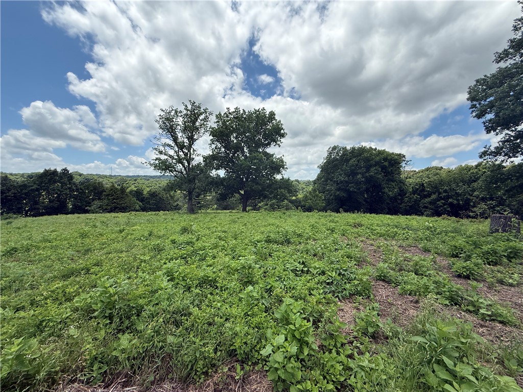 Discover the perfect blend of privacy, accessibility, and natural beauty on this stunning 13.68+/- acre tract in East Springdale. Whether you are looking to build your dream estate, establish a private homestead, or invest in prime Northwest Arkansas land, this property offers an exceptional canvas. Convenient accessibility with ease of entry from both paved and dirt roads. Enjoy peaceful country living just minutes from the amenities of Springdale. Friendship Creek runs along the property border, creating a beautiful wet-weather water feature.