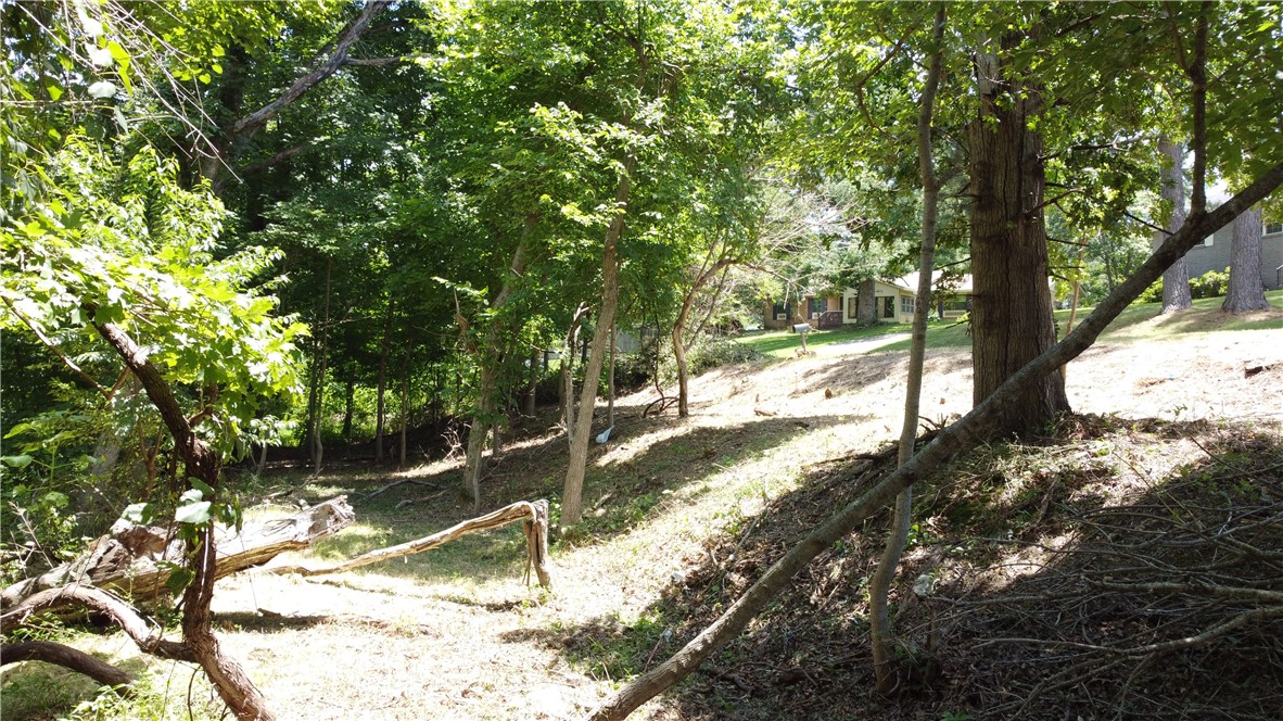 Lakeview Add Rogers - Land