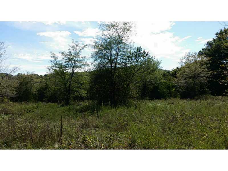 White River Estates - Land