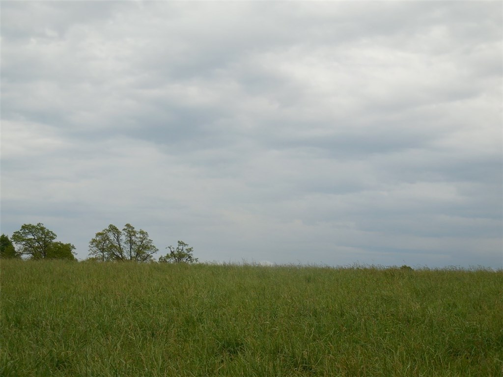 . - Land