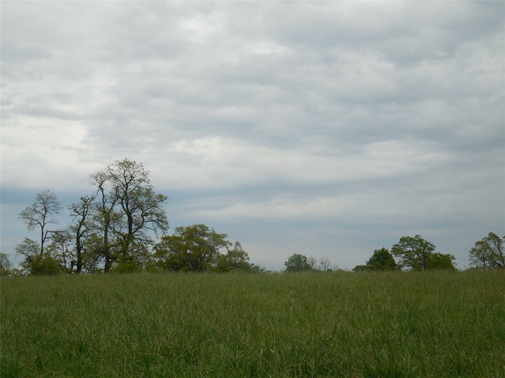 . - Land
