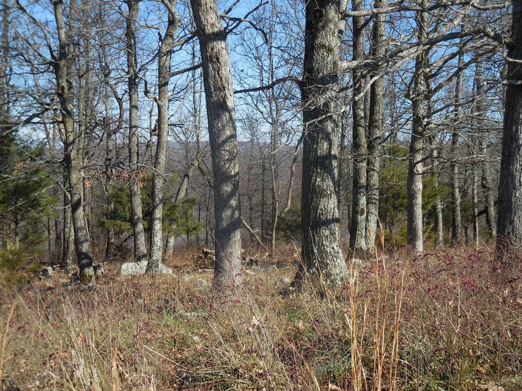. - Land