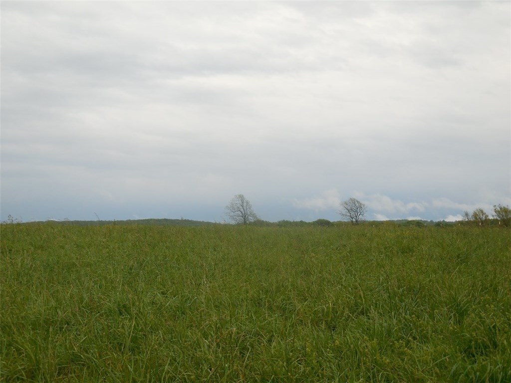 . - Land