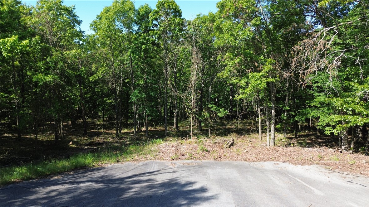 Welcome to Lot 7 in Autumn View—9.91± acres of wooded seclusion tucked away in East Fayetteville’s last gated community. This rare opportunity offers the perfect canvas to build the custom home you’ve always envisioned.  Set at the end of a quiet, tree-lined road, this lot provides the kind of peace and privacy that’s hard to find—yet it’s just minutes from schools, shopping, and everything Fayetteville has to offer.  With nearly 10 acres to work with, you’ll have the space and freedom to create a retreat that reflects your vision, whether it’s a modern farmhouse, timeless estate, or a nature-inspired hideaway.  If you’re searching for quiet luxury, natural beauty, and a location that balances privacy with convenience—this is it. Don’t miss the opportunity to own in one of Fayetteville’s most exclusive and serene settings.