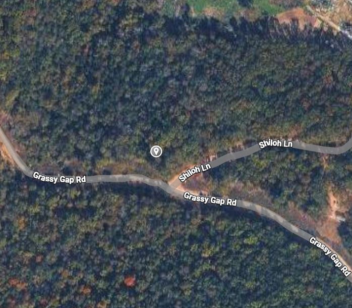 Nice wooded 5 acres. Would make a good home site.