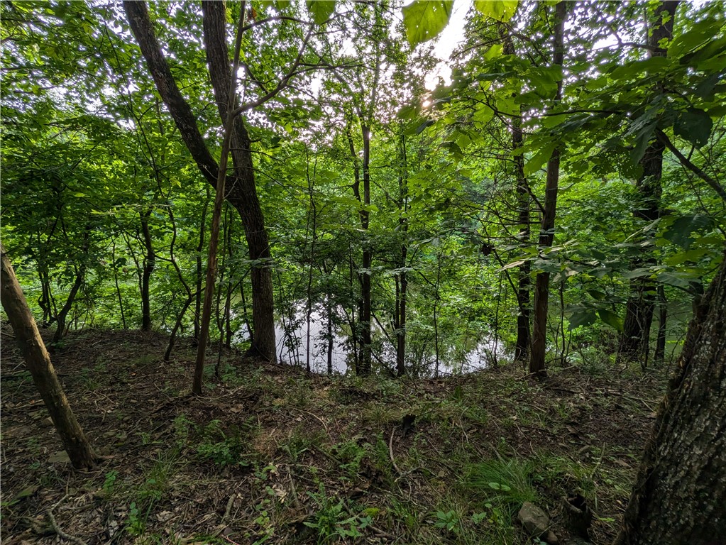 Other Subdivision in Johnson Co - Residential