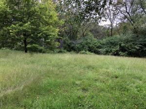 Harrison City Acreage - Residential
