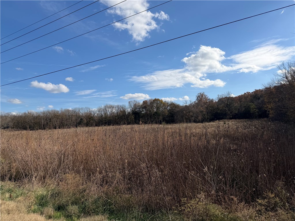Prime 6.68-acre mixed-use lot located directly on Highway 62 in Prairie Grove. Excellent highway frontage, strong visibility, and flexible development potential for commercial, residential, or investment use. A portion of the land lies within a designated flood zone and is priced accordingly. Public water is nearby (not connected), and septic will be required. With over six acres available, this parcel offers opportunities for building, storage, parking, or future expansion. Buyer to verify zoning, utilities, flood zones, and permitted uses.