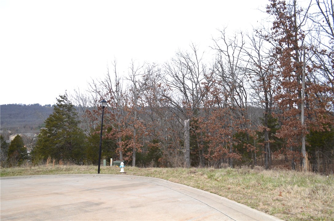 Deerpath Estates Ph II - Land
