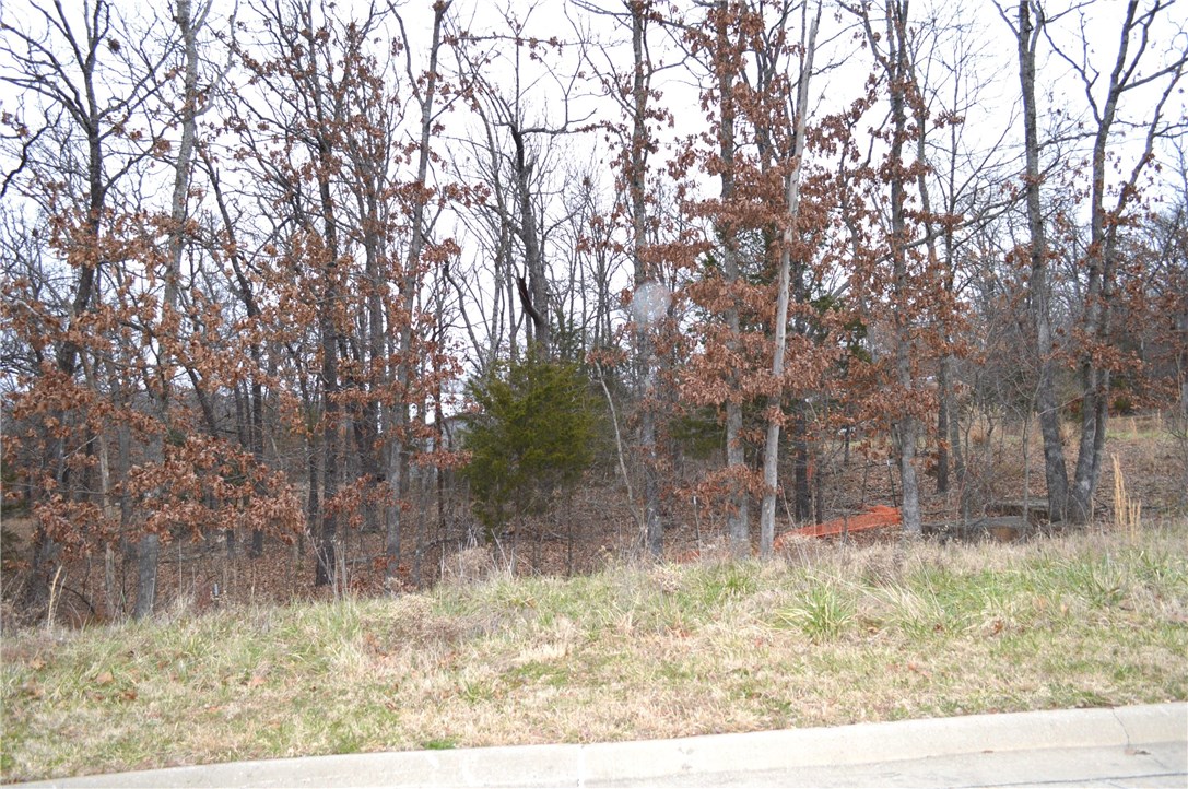 Deerpath Estates Ph II - Land