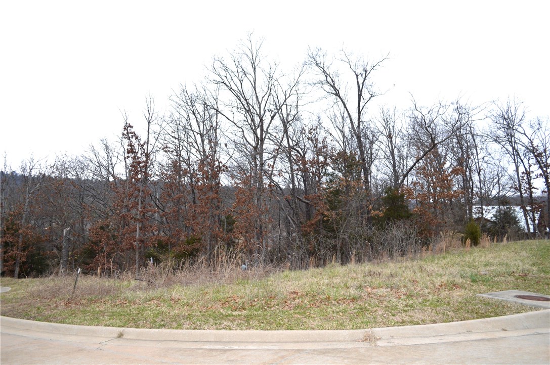 Deerpath Estates Ph II - Land