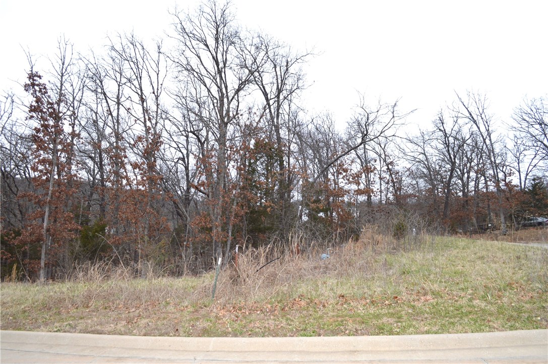 Deerpath Estates Ph II - Land