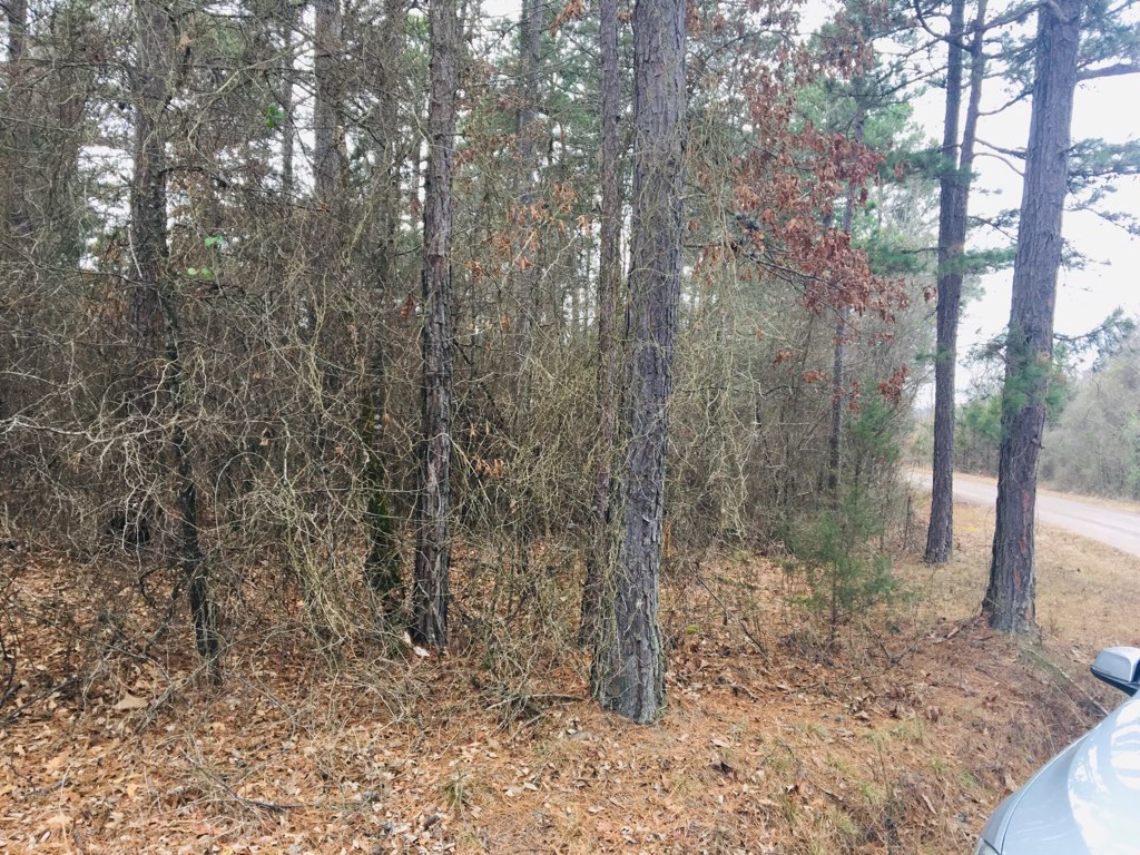 1.59 acres on which to build your forever home in the highly sought-after Eagles Nest! Don't miss this -- one of the few remaining lots!