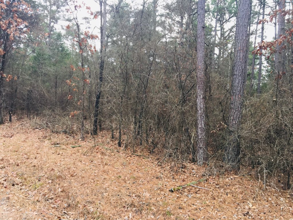 Other Subdivision - Land